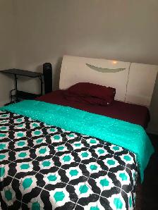 Main Floor Unit 4 Rooms Bungalow House in Scarborough for Rent - Photo 4