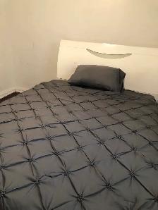 Main Floor Unit 4 Rooms Bungalow House in Scarborough for Rent - Photo 6