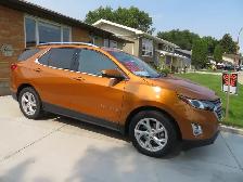 2019 IMMACULATE EQUINOX FOR SALE