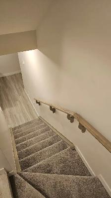 Beautiful 2 Bedroom LEGAL Basement Apartment - Photo 4