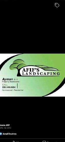 landscaping Sod lawn grass cutting trimming yard clean up dumps