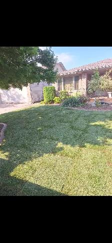 landscaping Sod lawn grass cutting trimming yard clean up dumps - Photo 9