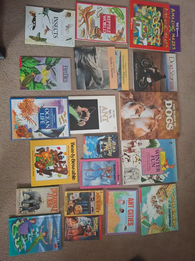111 Children’s Books – $25 for the Entire Lot