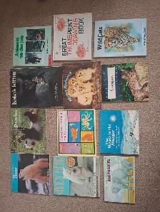 111 Children’s Books – $25 for the Entire Lot - Photo 5
