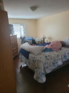 !!!  VERY BIG ROOM FOR RENT ON WOODROFFE 1 BLOCK FROM CARLING
