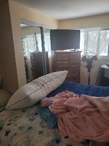 !!!  VERY BIG ROOM FOR RENT ON WOODROFFE 1 BLOCK FROM CARLING - Photo 2