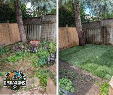 LANDSCAPING • DEMOLITION • JUNK REMOVAL • AND MORE - Photo 5