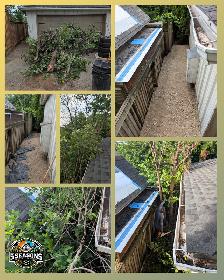 DEMOLITION • JUNK REMOVAL • LANDSCAPING • AND MORE - Photo 10