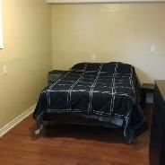 SEPT 1- FURNISHED BASEMENT APT -15m/Carleton-10-Algonq-VIDEO's - Photo 4