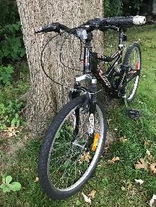 Raleigh Tora Mountain bike 24" / vélo de montagne - Photo 3