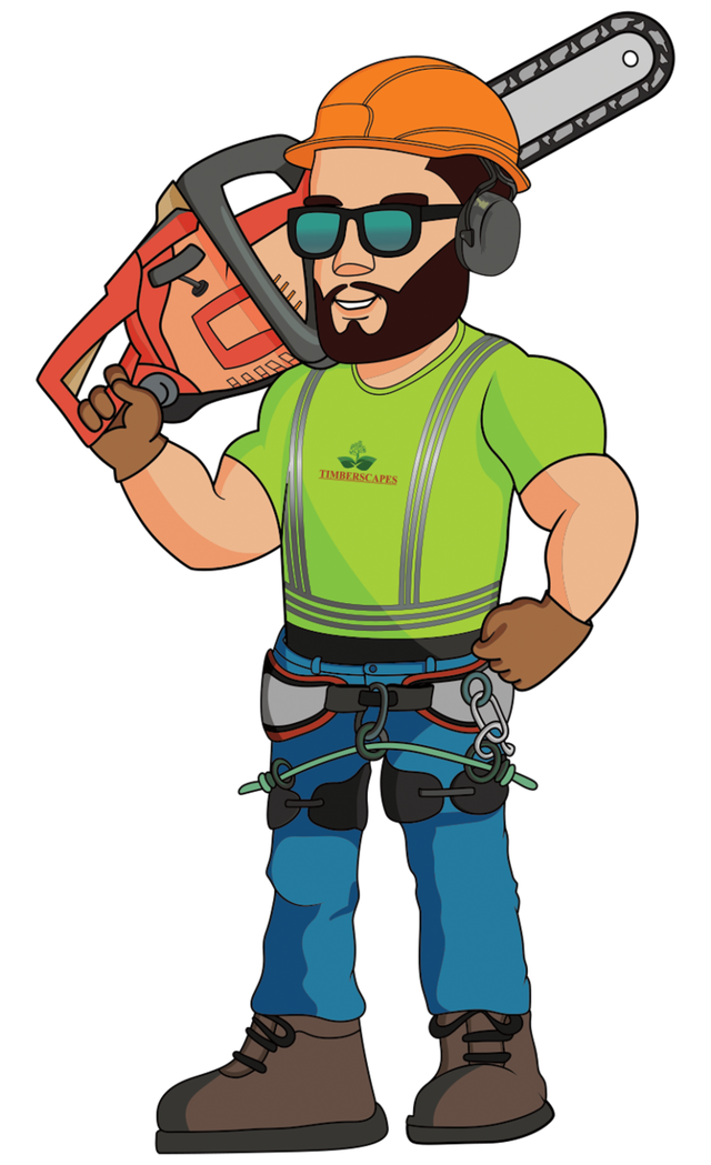 Hiring: Climbing Arborist Apprentice / Tree Climber – Full-Time