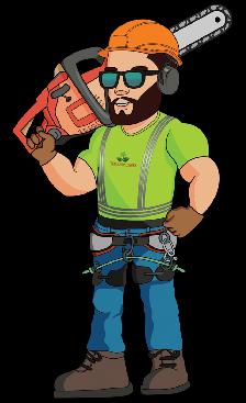 Hiring: Climbing Arborist Apprentice / Tree Climber – Full-Time