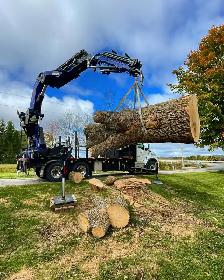 Hiring: Climbing Arborist Apprentice / Tree Climber – Full-Time - Photo 4