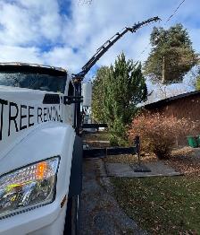 Hiring: Climbing Arborist Apprentice / Tree Climber – Full-Time - Photo 6