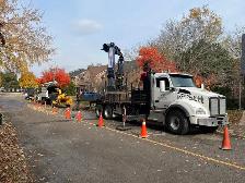Hiring: Climbing Arborist Apprentice / Tree Climber – Full-Time - Photo 10