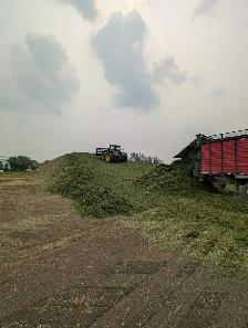 Class 1 driver/Equipment Operator - Photo 3