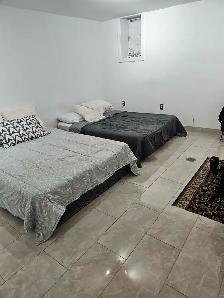 Spacious 2-Bedroom Lower Level Flat on Manning Av | Separate Ent - Photo 7