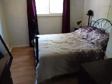 Chalet rustique inclus 300 000 pieds carrés - Photo 3