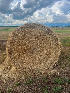 Round Hay Bales