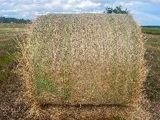 Round Hay Bales - Photo 2