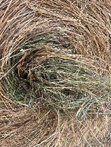 Round Hay Bales - Photo 3