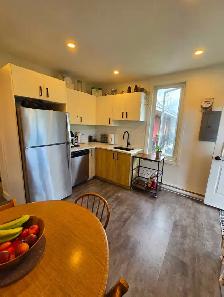 Grand Appartement 4 1/2