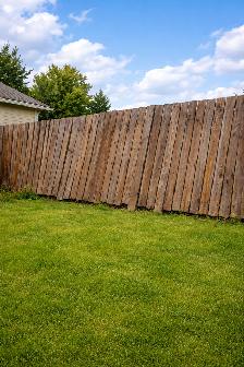 Looking for Fence Post Replacement