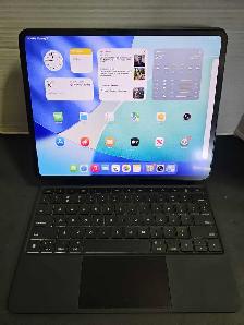 Ipad Pro M5 256GB 100% Battery