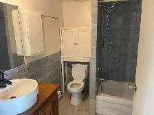 Big 4 1/2, golden area, new renovation - Photo 2