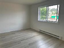 Big 4 1/2, golden area, new renovation - Photo 4
