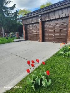 2 bedroom BSM Separate entrance $1800 @Dufferin & Steeles - Photo 2