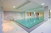 One bedroom condo rental. Utilities, park, storage included - Photo 3