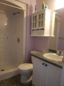 2 Bed Walk-Out Basement apt for Rent - Photo 4