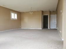 2 Bed Walk-Out Basement apt for Rent - Photo 6