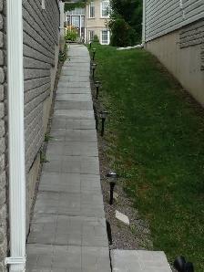2 Bed Walk-Out Basement apt for Rent - Photo 7