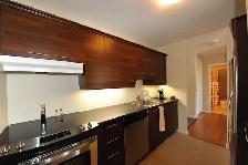 3 1/2 - 4 1/2 SILLERY PLAZA - PROMENADE CHAMPLAIN - Photo 16