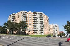 Penthouse de luxe - 4 1/2 - Ste-Foy-immeuble de prestige- sept. - Photo 4