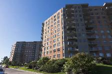 Penthouse de luxe - 4 1/2 - Ste-Foy-immeuble de prestige- sept. - Photo 5