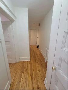 3 Bedroom Apartment on Elgin Street – Available September 1st! | - Photo 2