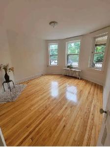 3 Bedroom Apartment on Elgin Street – Available September 1st! | - Photo 4