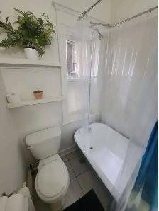 3 Bedroom Apartment on Elgin Street – Available September 1st! | - Photo 5
