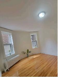 3 Bedroom Apartment on Elgin Street – Available September 1st! | - Photo 6