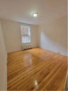 3 Bedroom Apartment on Elgin Street – Available September 1st! | - Photo 11
