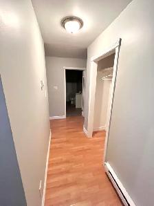 265C Water St - Spacious Two Bedroom Basement Apt - Photo 3