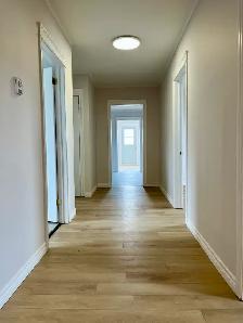 265 Water St - Bay Roberts  3 Bedroom Main Floor Home - Photo 18