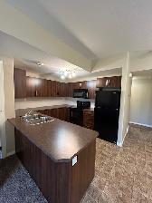 Springbrook EXECUTIVE Condo - 2 BR / 2 Bath - September 1 - Photo 3