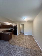 Springbrook EXECUTIVE Condo - 2 BR / 2 Bath - September 1 - Photo 6