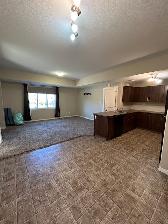 Springbrook EXECUTIVE Condo - 2 BR / 2 Bath - September 1 - Photo 11