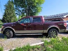 2010 Ford F150 - Photo 3