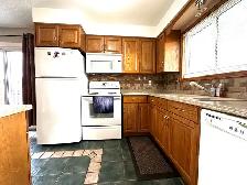 3 Bedroom House for Rent - Photo 3